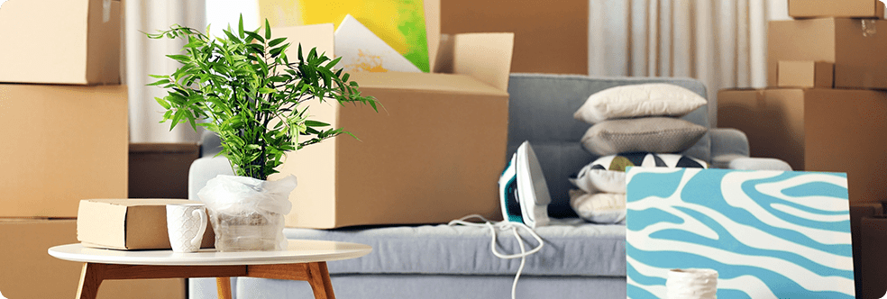 Best Home and Apartment Moving Services in Dallas–Fort Worth metroplex