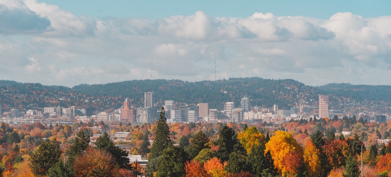 The Portland Skyline photographed from the nearby forest.