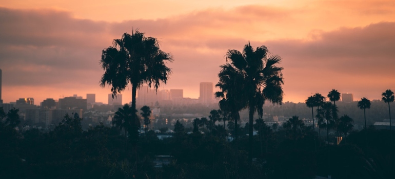 A city during the golden hour